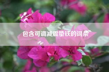 包含可調(diào)減震墊鐵的詞條